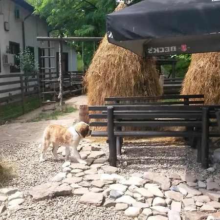 Casa Drumetului 3*