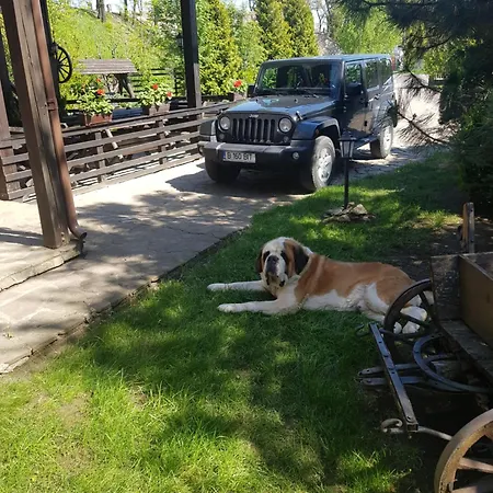 Guest house Casa Drumetului Piatra Neamt