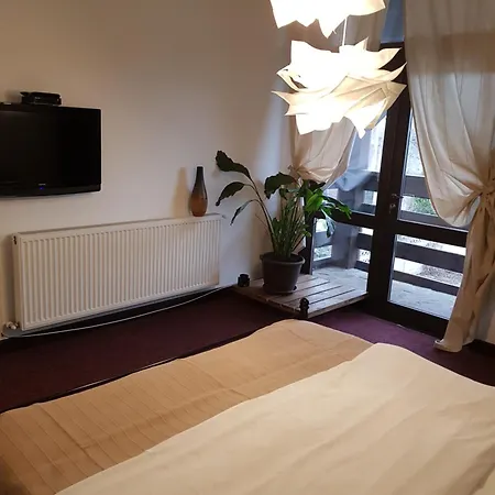 Guest house Casa Drumetului