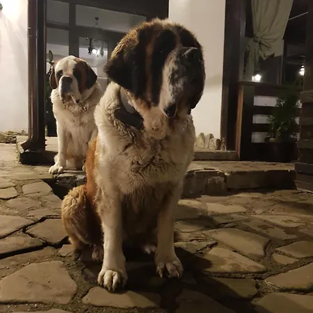 Casa Drumetului 3* Piatra Neamt