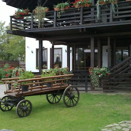 Guest house Casa Drumetului 3*